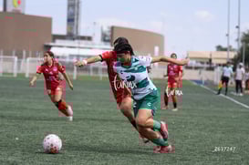 Tania Baca @tar.mx