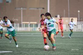 Tania Baca @tar.mx