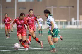 Tania Baca @tar.mx