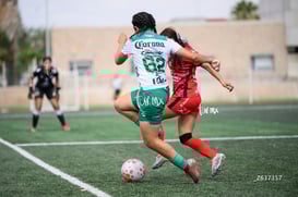 Tania Baca @tar.mx