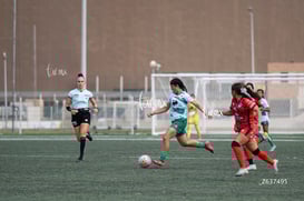 Tania Baca @tar.mx