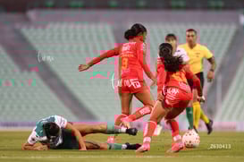 Winibian Peralta @tar.mx