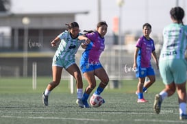 Dafne Sánchez, Laila Ávila @tar.mx