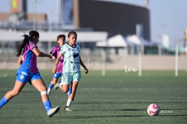 Santos Laguna vs Rayadas Monterrey S19 @tar.mx