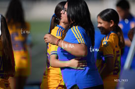 Santos Laguna vs Tigres UANL S19 @tar.mx