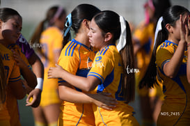 Santos Laguna vs Tigres UANL S19 @tar.mx