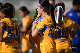 Santos Laguna vs Tigres UANL S19 @tar.mx