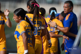 Santos Laguna vs Tigres UANL S19 @tar.mx