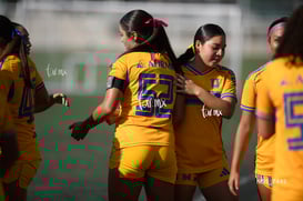 Santos Laguna vs Tigres UANL S19 @tar.mx