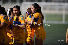 Santos Laguna vs Tigres UANL S19 @tar.mx