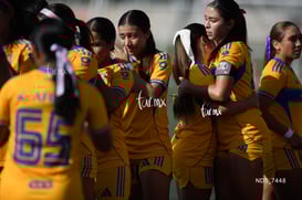 Santos Laguna vs Tigres UANL S19 @tar.mx