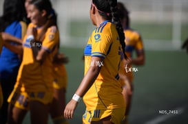 Santos Laguna vs Tigres UANL S19 @tar.mx