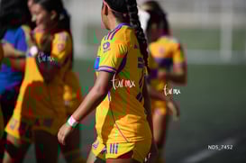 Santos Laguna vs Tigres UANL S19 @tar.mx