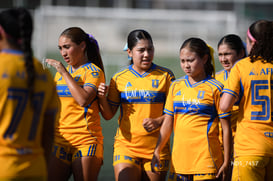 Santos Laguna vs Tigres UANL S19 @tar.mx