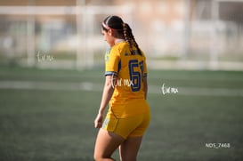 Santos Laguna vs Tigres UANL S19 @tar.mx