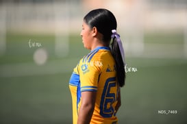 Santos Laguna vs Tigres UANL S19 @tar.mx