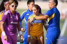 Santos Laguna vs Tigres UANL S19 @tar.mx