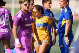 Santos Laguna vs Tigres UANL S19 @tar.mx