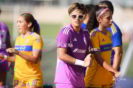 Santos Laguna vs Tigres UANL S19 @tar.mx
