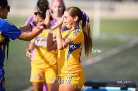 Santos Laguna vs Tigres UANL S19 @tar.mx