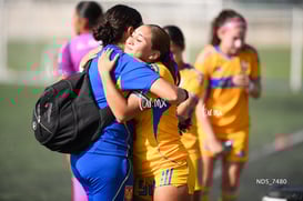 Santos Laguna vs Tigres UANL S19 @tar.mx
