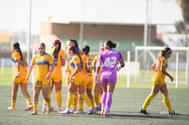 Santos Laguna vs Tigres UANL S19 @tar.mx