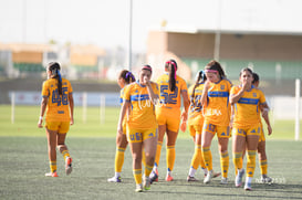 Santos Laguna vs Tigres UANL S19 @tar.mx