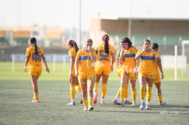 Santos Laguna vs Tigres UANL S19 @tar.mx