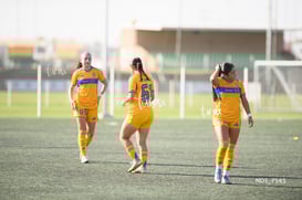 Santos Laguna vs Tigres UANL S19 @tar.mx