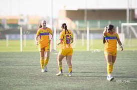 Santos Laguna vs Tigres UANL S19 @tar.mx