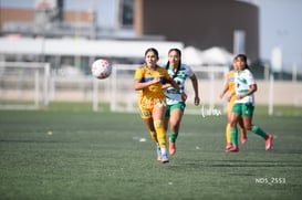 Yaretssi Cardenas @tar.mx