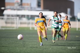 Yaretssi Cardenas @tar.mx