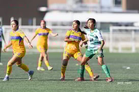 Santos Laguna vs Tigres UANL S19 @tar.mx