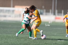 Santos Laguna vs Tigres UANL S19 @tar.mx