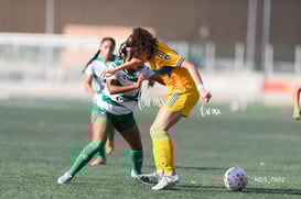 Santos Laguna vs Tigres UANL S19 @tar.mx
