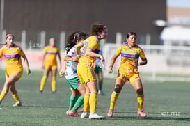 Santos Laguna vs Tigres UANL S19 @tar.mx