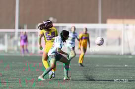 Santos Laguna vs Tigres UANL S19 @tar.mx