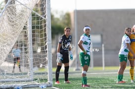 Santos Laguna vs Tigres UANL S19 @tar.mx
