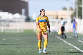 Santos Laguna vs Tigres UANL S19 @tar.mx