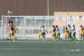 Santos Laguna vs Tigres UANL S19 @tar.mx