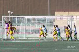 Santos Laguna vs Tigres UANL S19 @tar.mx