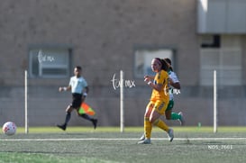 gol @tar.mx