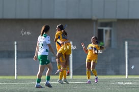 gol @tar.mx