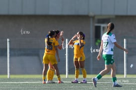 gol @tar.mx