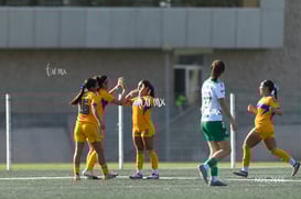 gol @tar.mx