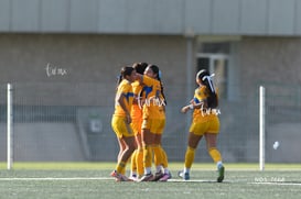 gol @tar.mx