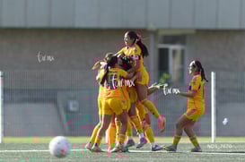 gol @tar.mx