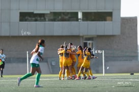 gol @tar.mx