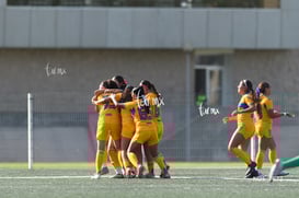 gol @tar.mx