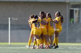 gol @tar.mx